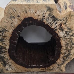 Tamarind console table with hollow core and carved wood form