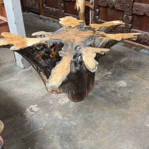 Teak stump coffee table with carved solid wood form